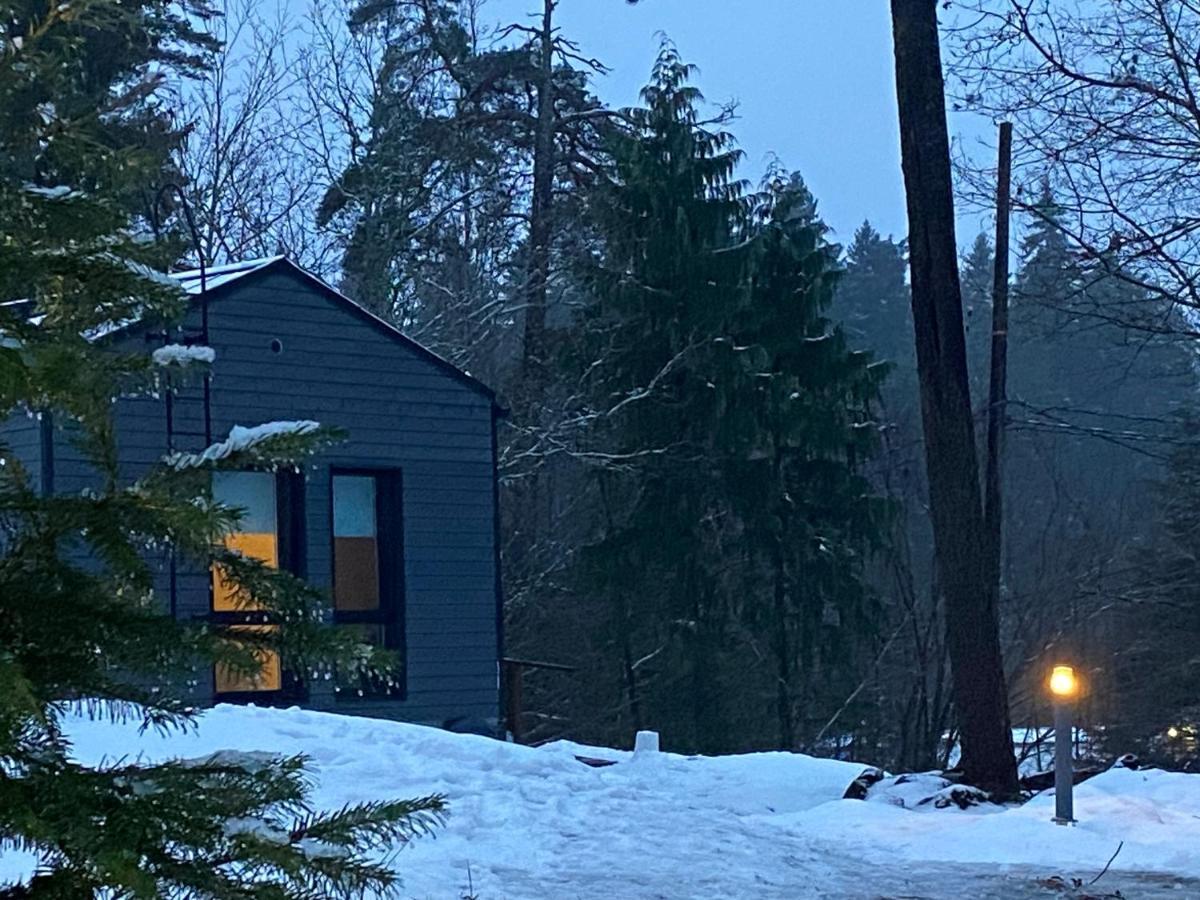 Tammikon Tupa Villa Tuusula Bagian luar foto