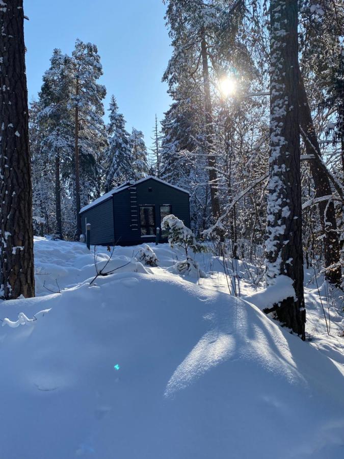 Tammikon Tupa Villa Tuusula Bagian luar foto